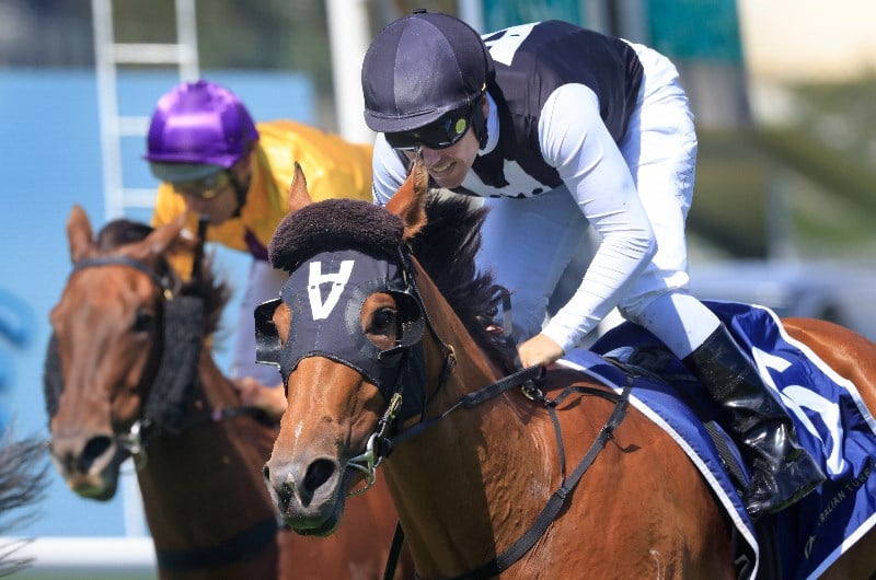 Doomben Betting Tips