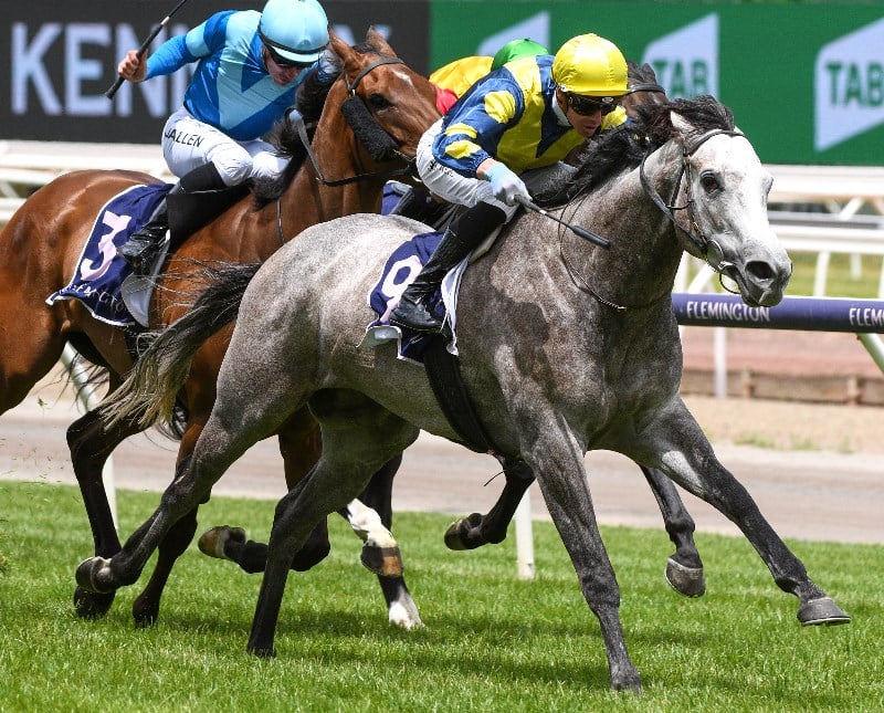 Big Bets Results from 01.01.2022