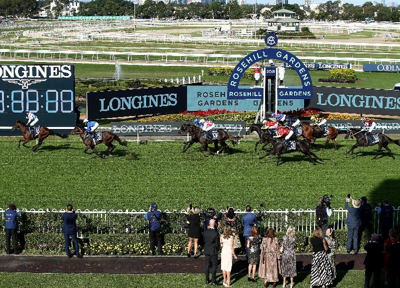 Golden Slipper Tips