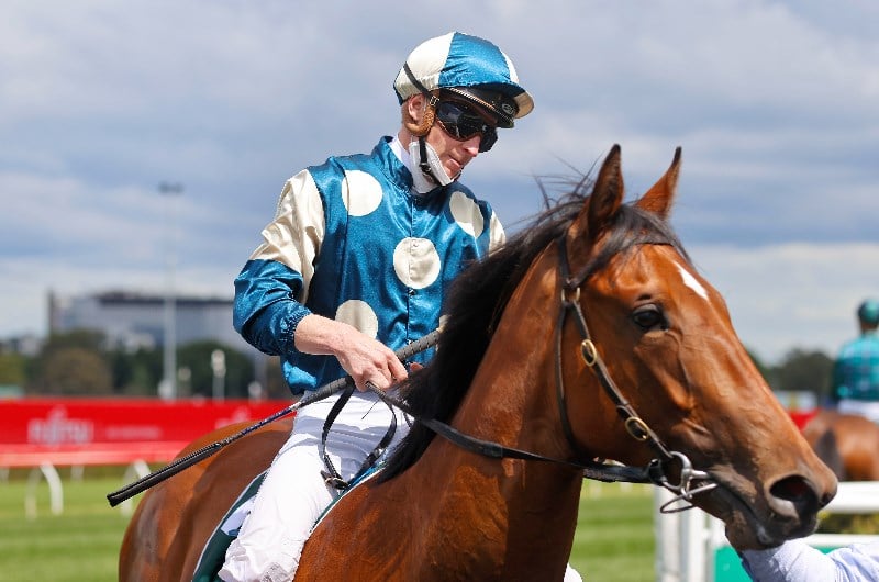 Magic Millions 2YO Classic Tips