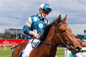 Magic Millions 2YO Classic Tips & Preview - Coolangatta set for Gold Coast glory