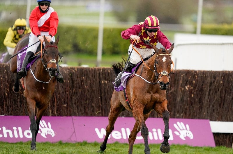 minella indo gold cup