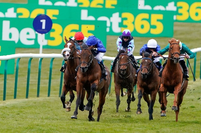 today's extra place races