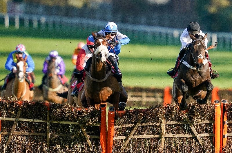 Tolworth hurdle betting advice forex peace army titantrade