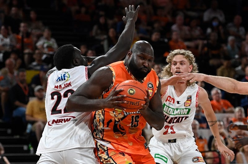 taipans