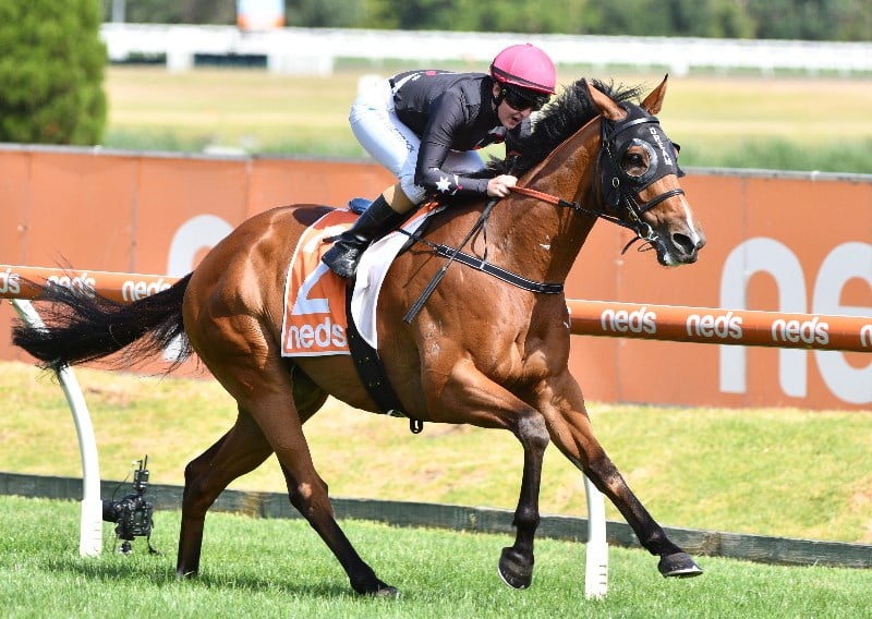Big Bets Results from 08.01.2022