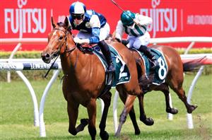 Magic Millions 2YO Classic 2022 Barrier Draw & Final Field