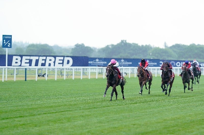 today's extra place races