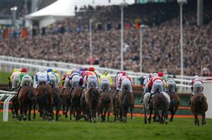 Ultima Handicap Chase Live Stream - Watch the Cheltenham race online