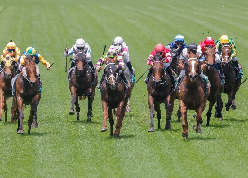 Rosehill Tips for 15.01.2022