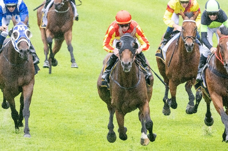 Weekend Racing Multi