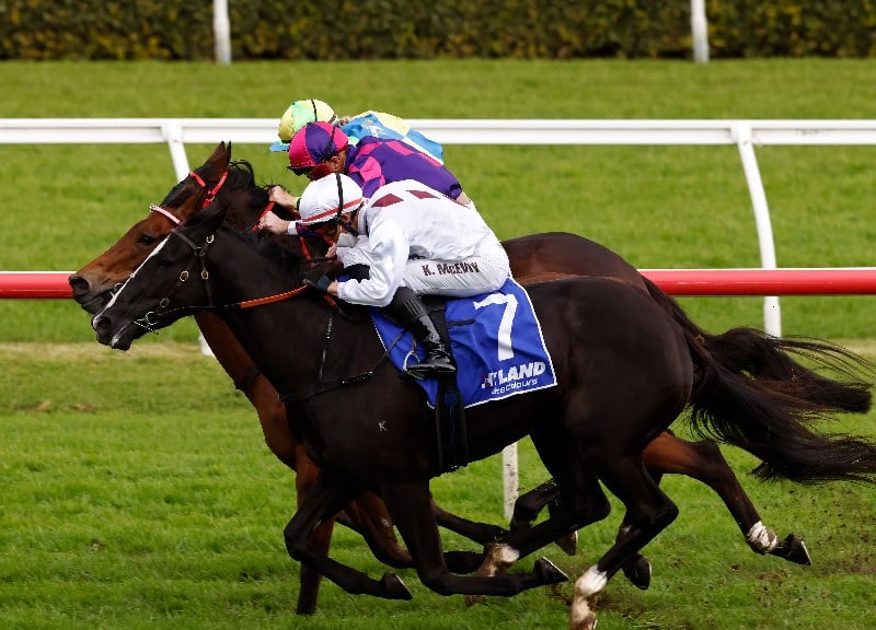 Roughie Tips January 15