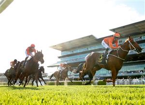 Big Saturday Bets for January 15