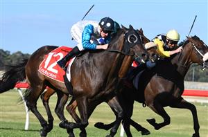 Moe Betting Tips