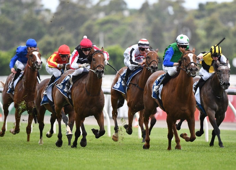 Big Bets Results from 15.01.2022