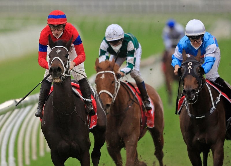 Queen Elizabeth Stakes odds