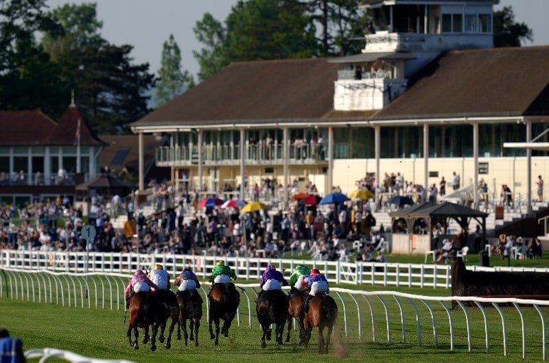 lingfield races