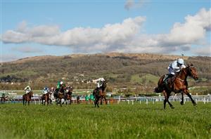 2022 Champion Hurdle Tips - 12/1 shot the best ante-post bet