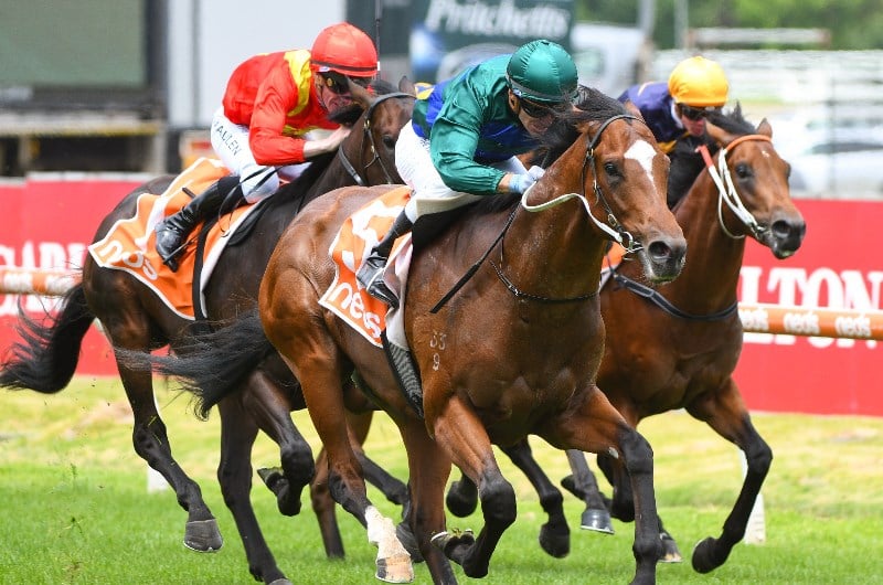 Blue Diamond Stakes 2022 Tips Betting Advice Expert Selections