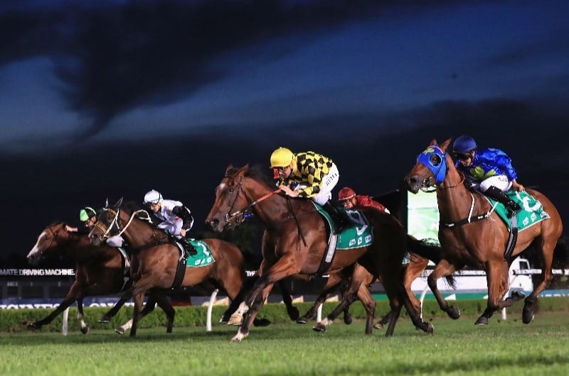 Canterbury Tips for 26.11.2021