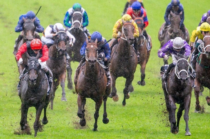 tamworth racing tips for 03.04.2020