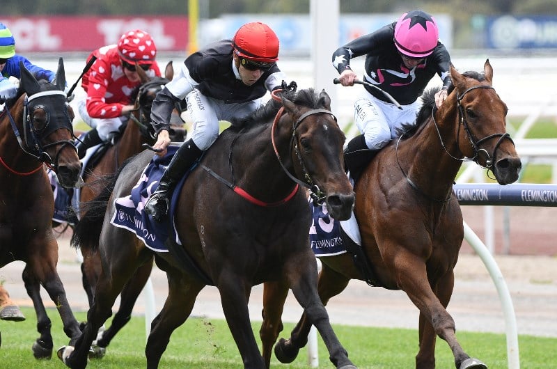 Moonee Valley Betting Tips