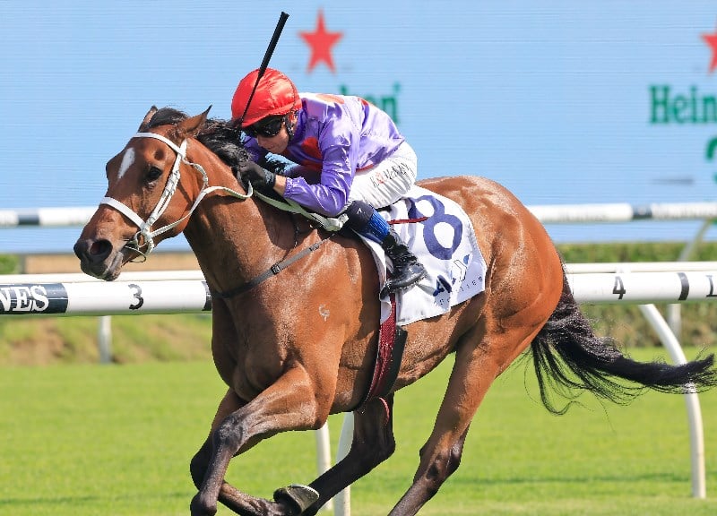 Kerrin McEvoy Megabet