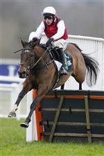 ASCOT, ENGLAND - JANUARY 22: Harry Skelton riding Molly Ollys Wishes clear the last to win The SBK Mares' Hurdle at Ascot Racecourse on January 22, 2022 in Ascot, England. (Photo by Alan Crowhurst/Getty Images)