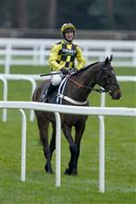 ASCOT, ENGLAND - JANUARY 22: Nico de Boinville after riding Shishkin to win The SBK Clarence House Chase from Paul Townend and Energumene (blue) at Ascot Racecourse on January 22, 2022 in Ascot, England. (Photo by Alan Crowhurst/Getty Images)