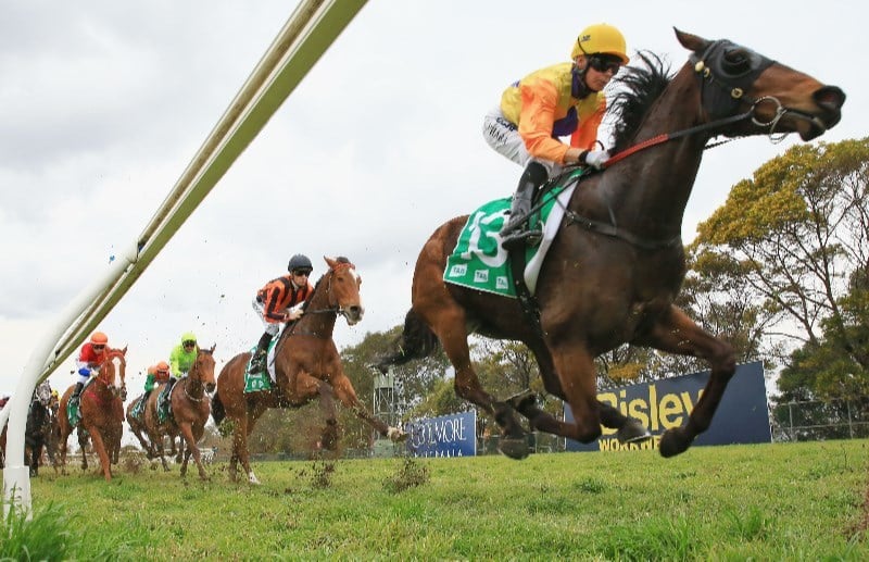 Bathurst racecourse static