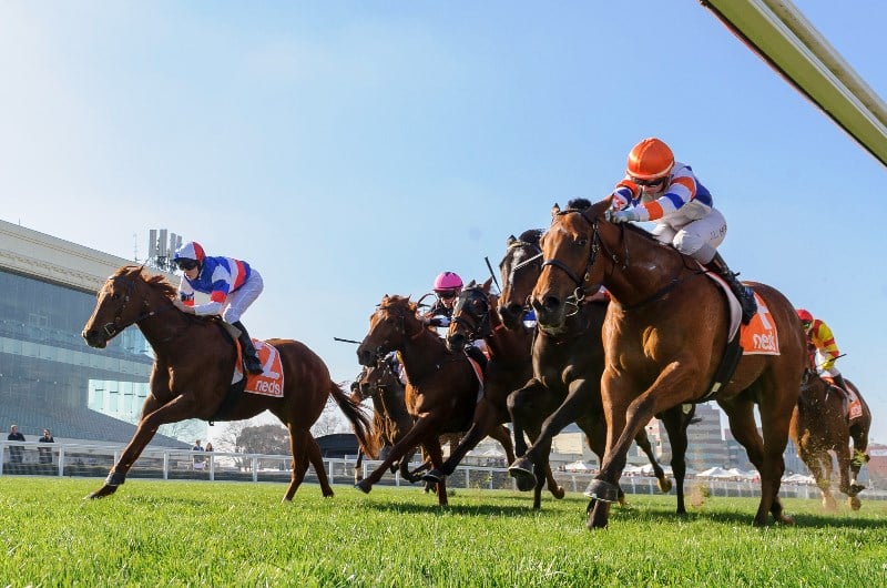 Kilmore Betting Tips