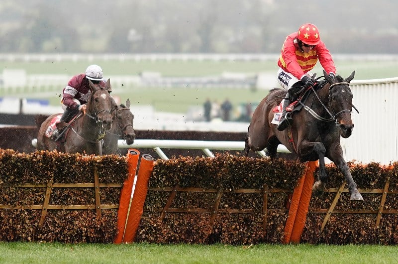 Stayers' Hurdle 2023 Tips Antepost Cheltenham Festival tips