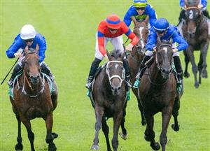 Chipping Norton Stakes Betting Odds - Think It Over shades Verry Elleegant