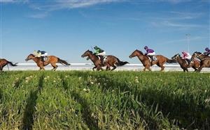 Scone racing tips for 14.01.2020