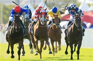 Taree Tips for Friday, October 18