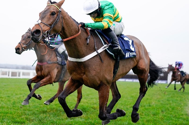champ ascot
