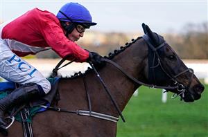 Arkle favourite Ferny Hollow ruled out of Cheltenham Festival 