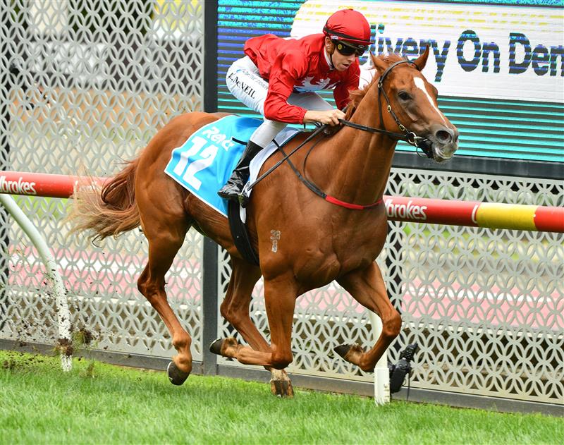 MELBOURNE, AUSTRALIA - JANUARY 29: Logan McNeil riding Midwest winning  Race 8, the Rendr Handicap, during Melbourne Racing at Moonee Valley Racecourse on January 29, 2022 in Melbourne, Australia. (Photo by Vince Caligiuri/Getty Images)