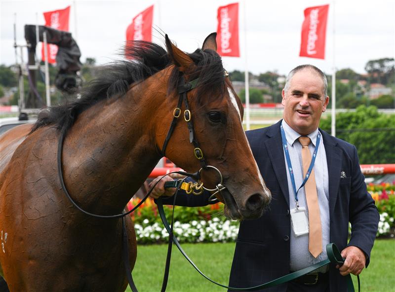 MELBOURNE, AUSTRALIA - JANUARY 29: Track manager, Martin Synan is seen holding Rioyuki for trainer Matthew Williams after winning Race 1, the Mitty