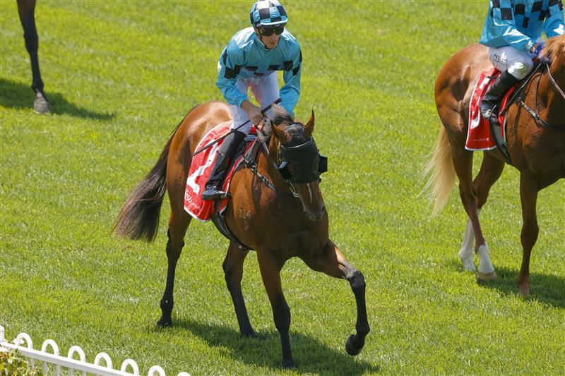 SYDNEY, AUSTRALIA - JANUARY 29: Sam Clipperton on Best Of Bordeaux returns to scale after winning
 race 2 the Fujitsu General Canonbury Stakes during Sydney Racing at Rosehill Gardens on January 29, 2022 in Sydney, Australia. (Photo by Jenny Evans/Getty Images)