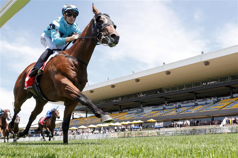 SYDNEY, AUSTRALIA - JANUARY 29: Sam Clipperton on Best Of Bordeaux wins race 2 the Fujitsu General Canonbury Stakes during Sydney Racing at Rosehill Gardens on January 29, 2022 in Sydney, Australia. (Photo by Jenny Evans/Getty Images)
