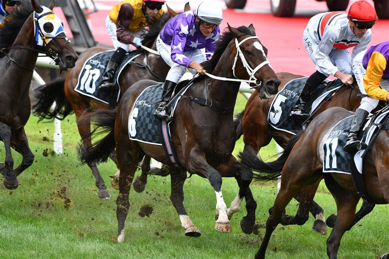 MELBOURNE, AUSTRALIA - JANUARY 29: Damien Oliver riding Rousseau in the first lap before winning Race 4, the Entry Education Martin Ralston Cup, during Melbourne Racing at Moonee Valley Racecourse on January 29, 2022 in Melbourne, Australia. (Photo by Vince Caligiuri/Getty Images)