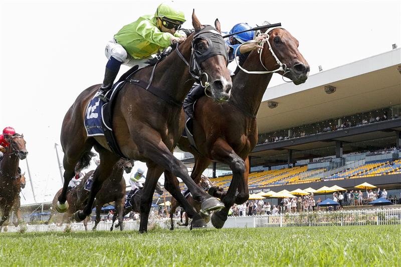 SYDNEY, AUSTRALIA - JANUARY 29: Hugh Bowman (blue) on More Sundays wins race 5 the Midway Handicap during Sydney Racing at Rosehill Gardens on January 29, 2022 in Sydney, Australia. (Photo by Jenny Evans/Getty Images)