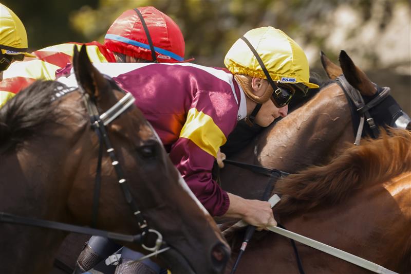 SYDNEY, AUSTRALIA - JANUARY 29: James McDonald on Crystal Pegasus jumps from the gates going on to win race 6 the Schweppes Handicap during Sydney Racing at Rosehill Gardens on January 29, 2022 in Sydney, Australia. (Photo by Jenny Evans/Getty Images)