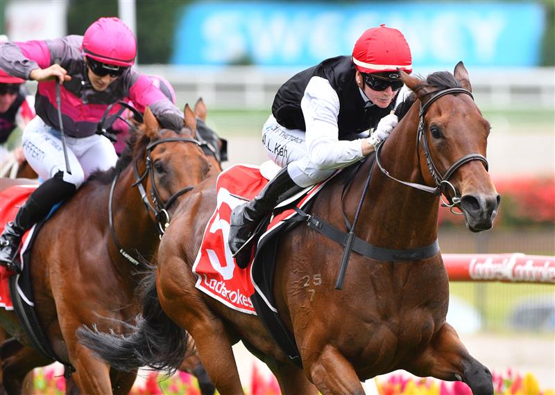 MELBOURNE, AUSTRALIA - JANUARY 29: Jamie Kah riding Americain Angel winning Race 2, the Ladbrokes Handicap, during Melbourne Racing at Moonee Valley Racecourse on January 29, 2022 in Melbourne, Australia. (Photo by Vince Caligiuri/Getty Images)