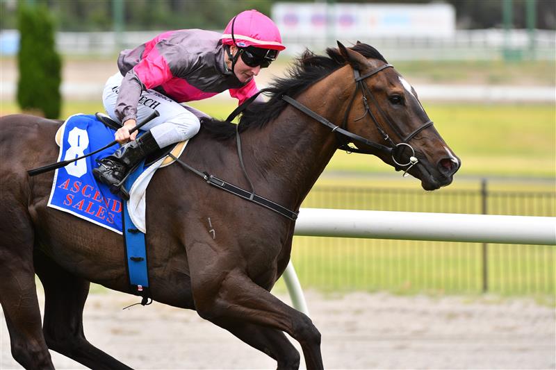 MELBOURNE, AUSTRALIA - JANUARY 29: Linda Meech riding Zoltan winning Race 3, the Ascend Sales Trophies Handicap, during Melbourne Racing at Moonee Valley Racecourse on January 29, 2022 in Melbourne, Australia. (Photo by Vince Caligiuri/Getty Images)