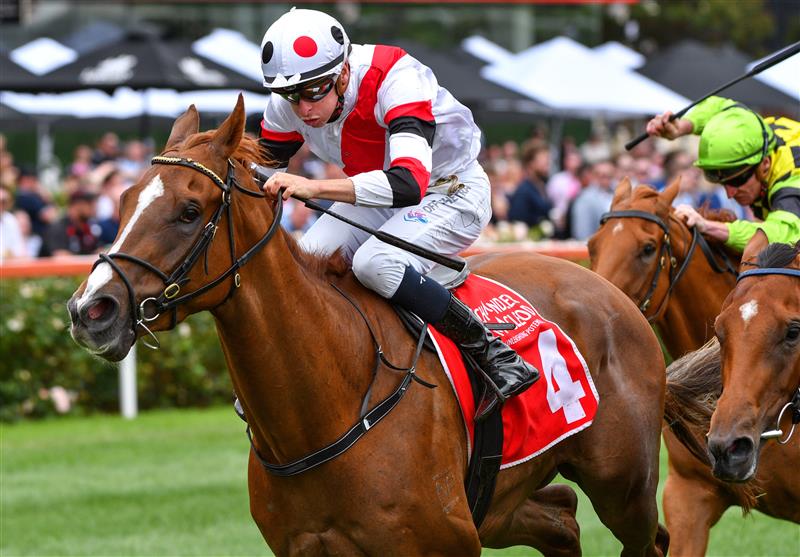 MELBOURNE, AUSTRALIA - JANUARY 29: Michael Dee riding Pinstriped winning race 5,  the Chandler Macleod Vobis Gold Carat, during Melbourne Racing at Moonee Valley Racecourse on January 29, 2022 in Melbourne, Australia. (Photo by Vince Caligiuri/Getty Images)