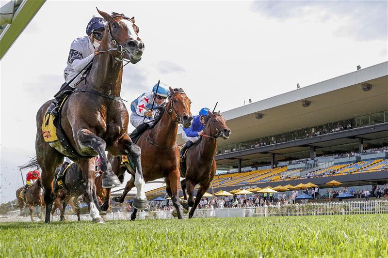 SYDNEY, AUSTRALIA - JANUARY 29: Tim Clark on Overpass wins race 7 the XXXX Expressway Stakes during Sydney Racing at Rosehill Gardens on January 29, 2022 in Sydney, Australia. (Photo by Jenny Evans/Getty Images)