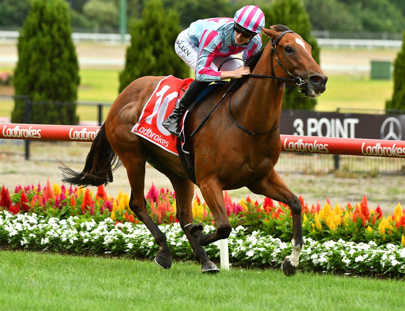 MELBOURNE, AUSTRALIA - JANUARY 29: Ben Allen riding Marabi winning Race 7, the Ma Services Group Australia Stakes, during Melbourne Racing at Moonee Valley Racecourse on January 29, 2022 in Melbourne, Australia. (Photo by Vince Caligiuri/Getty Images)
