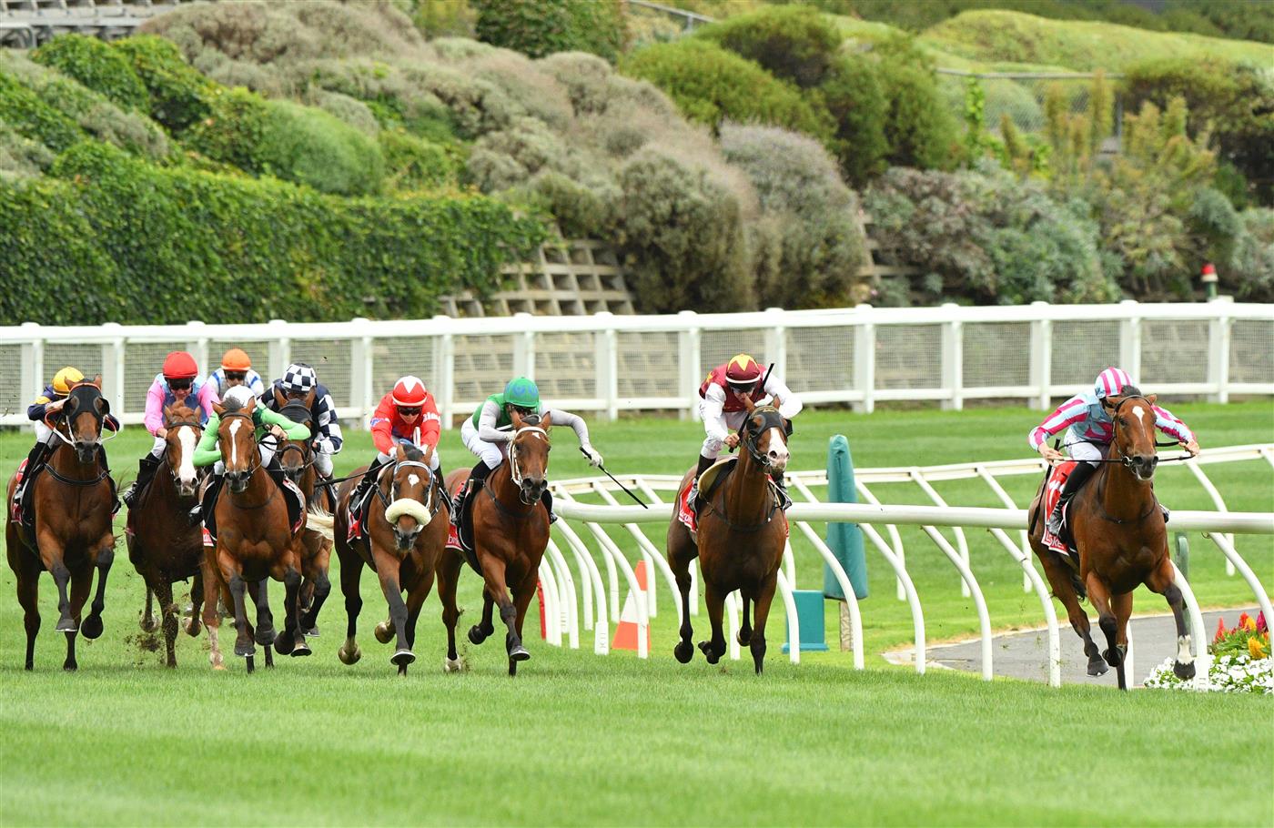 MELBOURNE, AUSTRALIA - JANUARY 29: Ben Allen riding Marabi winning Race 7, the Ma Services Group Australia Stakes, during Melbourne Racing at Moonee Valley Racecourse on January 29, 2022 in Melbourne, Australia. (Photo by Vince Caligiuri/Getty Images)